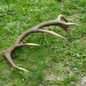 Nádherny