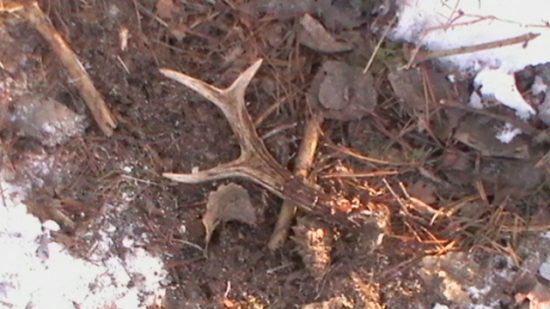 Na rannej prechadzke