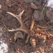 Na rannej prechadzke