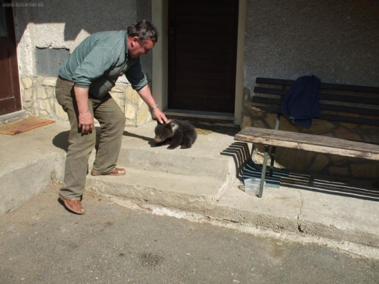 Medveď s medvieďaťom