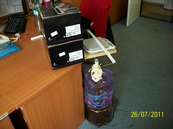 Ako sme v kancli vážili srčiu trofej