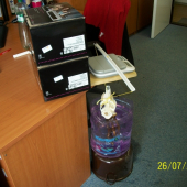 Ako sme v kancli vážili srčiu trofej