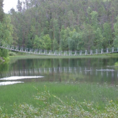 Fínsko -Oulanka national park