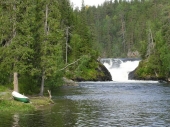 Jyrävä na rieke Kitkajoki -Oulanka national park