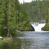 Jyrävä na rieke Kitkajoki -Oulanka national park