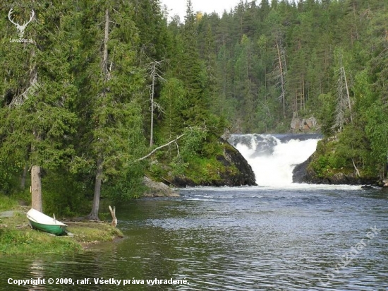 Jyrävä na rieke Kitkajoki -Oulanka national park