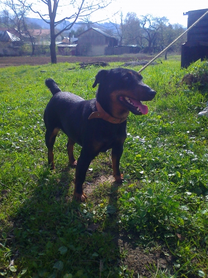 KESI z Jablonských lazov (: