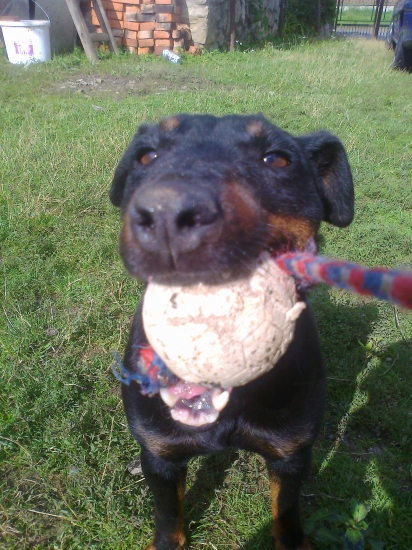 Nepustím a nepustím :P