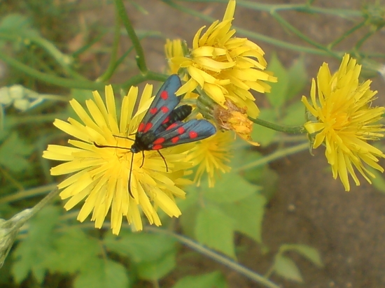 Krása spočíva aj v tých najmenších detailoch