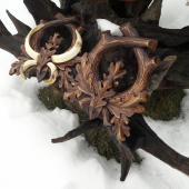 podlozka pod diviaka