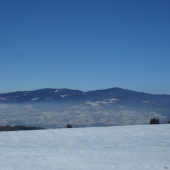 Stojí vysoká divá Poľana...