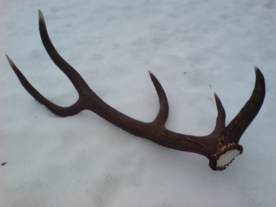 Druhy pohlad ID 158251