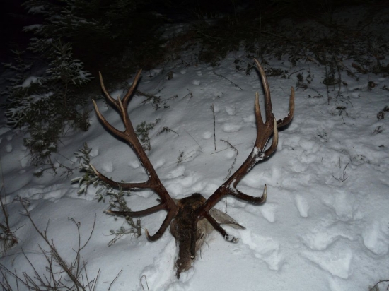 Druhy pohlad k ID190964