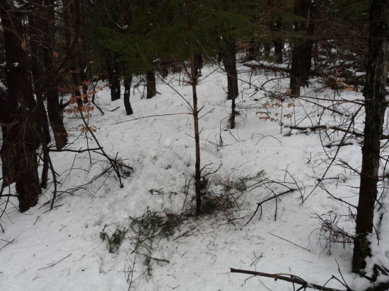 Uz ich poriadne svrbia.. :)