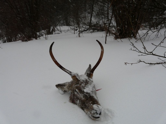 Druhý pohľad k ID199697