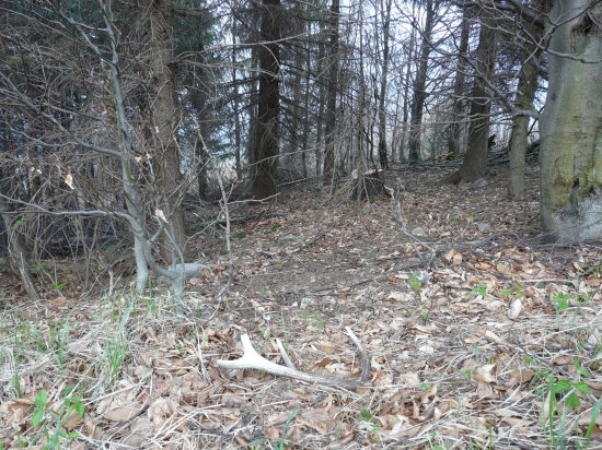 Vedľa čerstvej ťažby