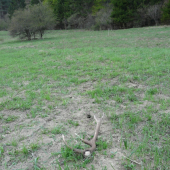 Myši začali zhadzovať..!