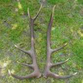 Dalsi priklad omylnosti tabuliek...