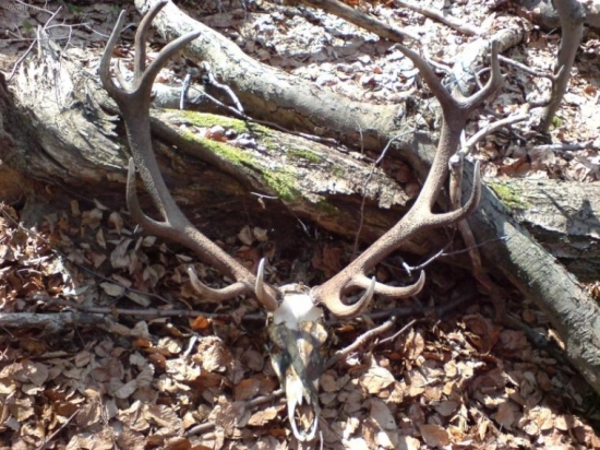 Stastie pocas Velkonocnej nedele...