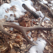 Dnesne zahajenie sezony 2010 - 1,7kg