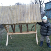 Mlady polovnik