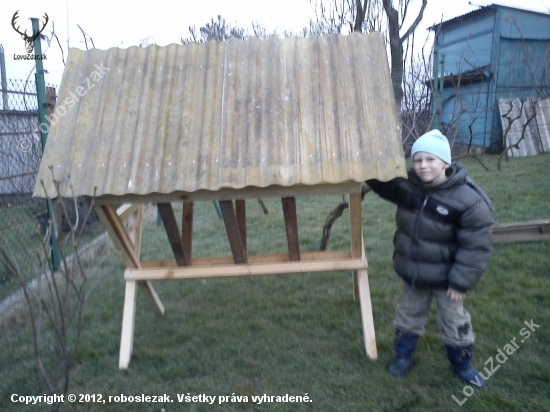 Mlady polovnik