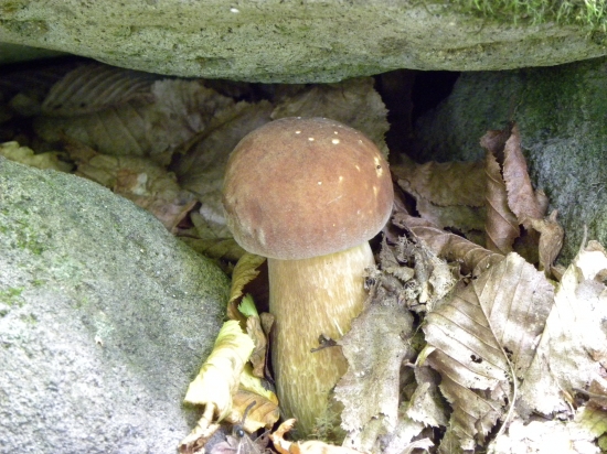 obkopený tromi skalami