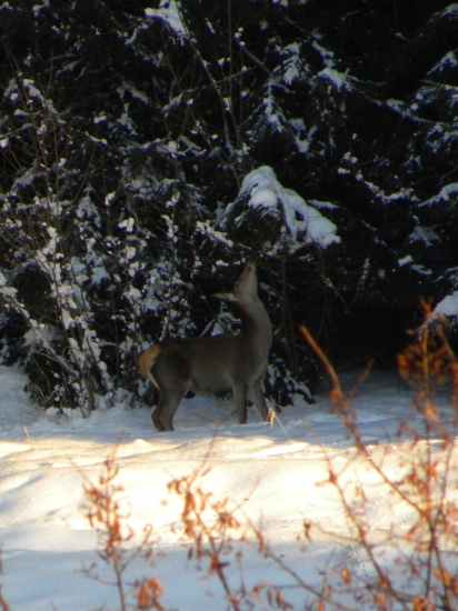 Idem si krk vykrútiť