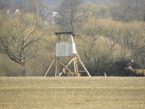 keby som bol na posede