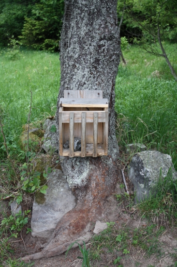 pokazený solník-opravíme