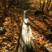rakytovo