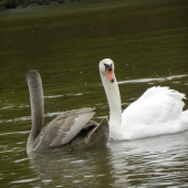 jedna čistá druhá špinavá