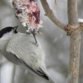 hore nohami chutí lepšie