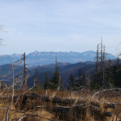 panoráma tatier