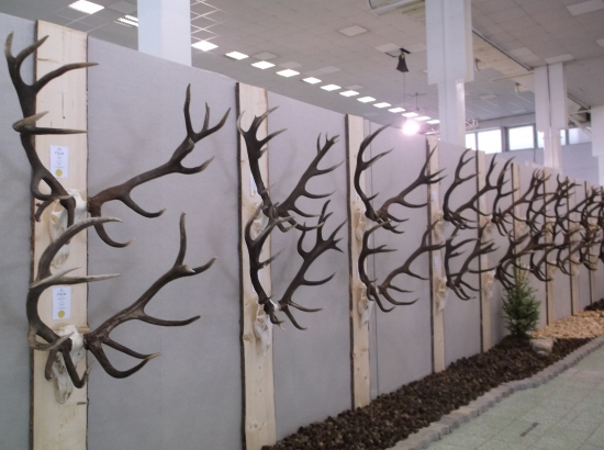 Celoštátna výstava Poľovníctvo a príroda 2016