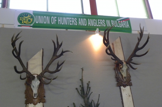 zahraničná účasť