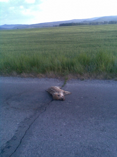 chýbalo pár metrov