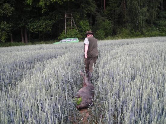 Já nesřílel a na konec to zbylo na mně.