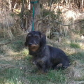 Luky