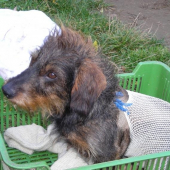 Muj nemocný kamarád.