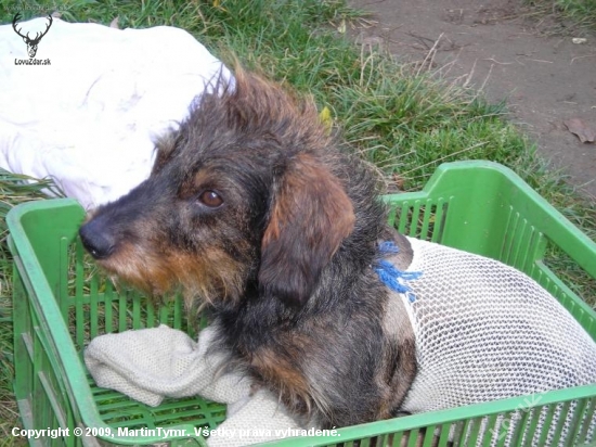 Muj nemocný kamarád.