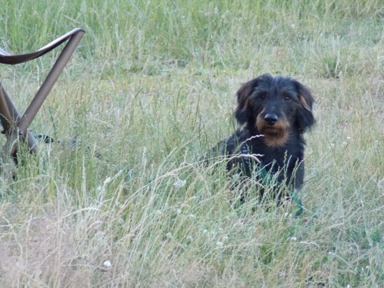 Na čekané z Lukynem.