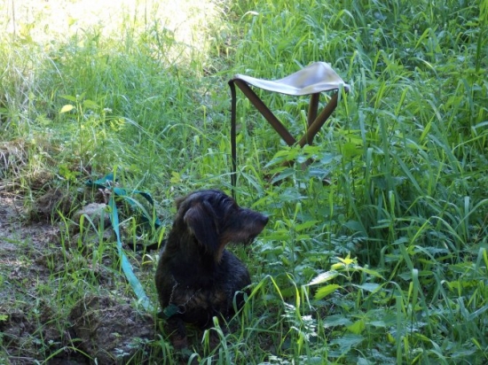 Na čekané z Lukynem.