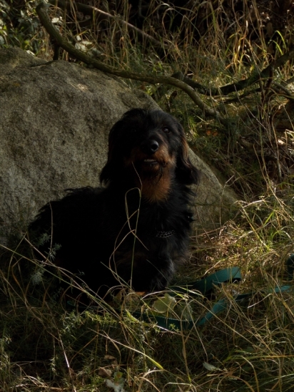 Z večerní čekaný.