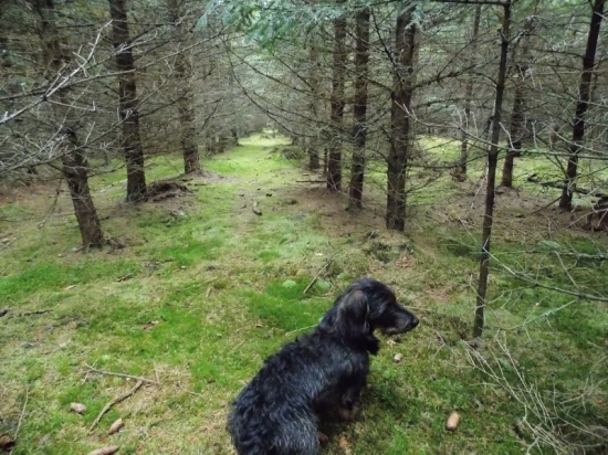 Z večerní čekaný.