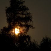 Z večerní čekané.