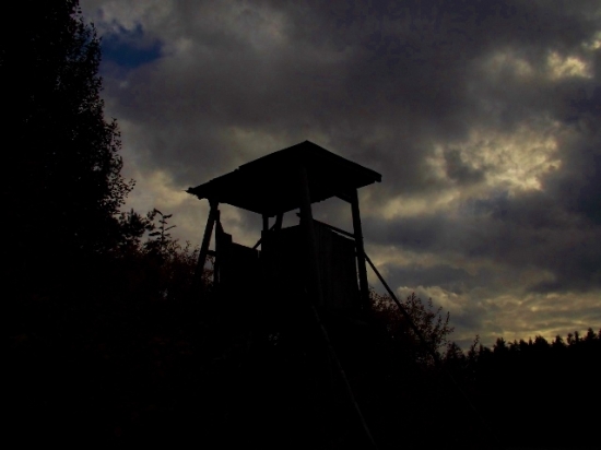 Cestou na noční čekanou.