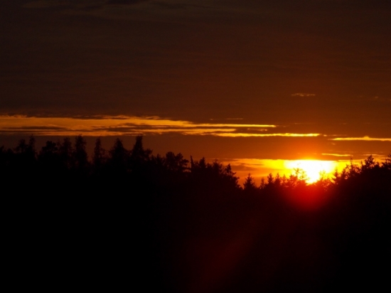 Z večerní čekané.