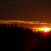 Z večerní čekané.