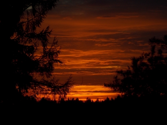 Z večerní čekané.